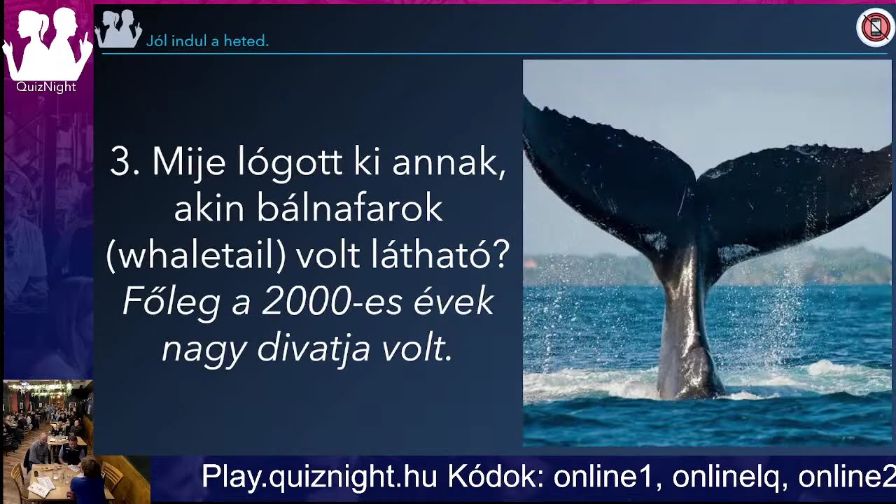 17. Bajnokság 16. forduló