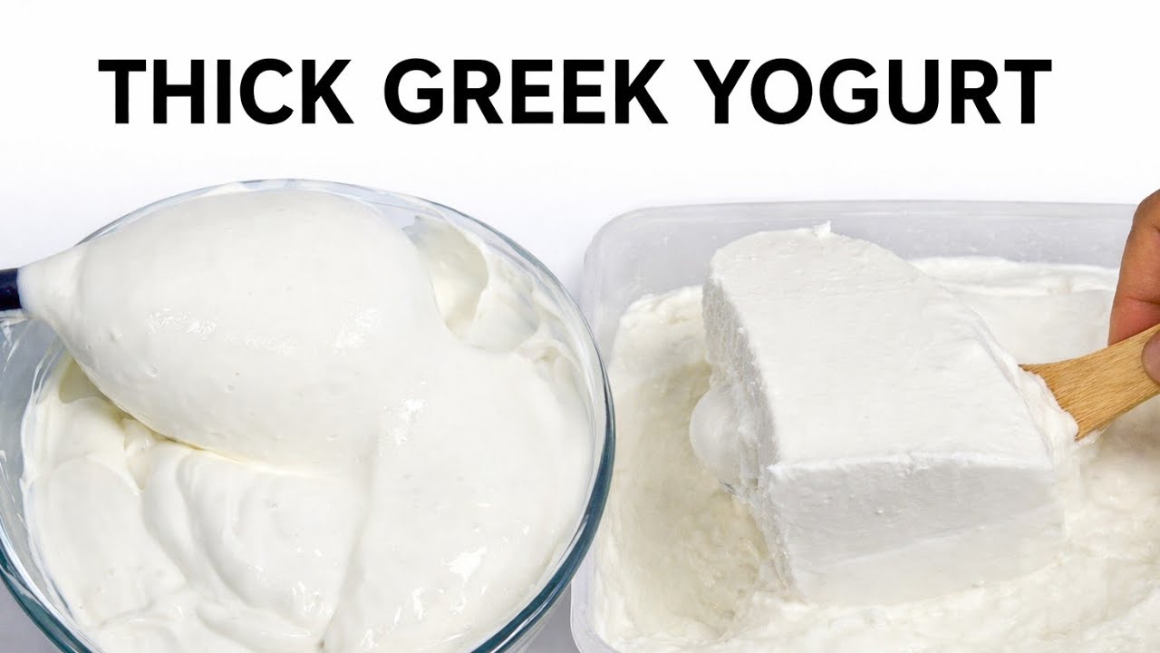 Homemade THICKEST Greek yogurt & yogurt 