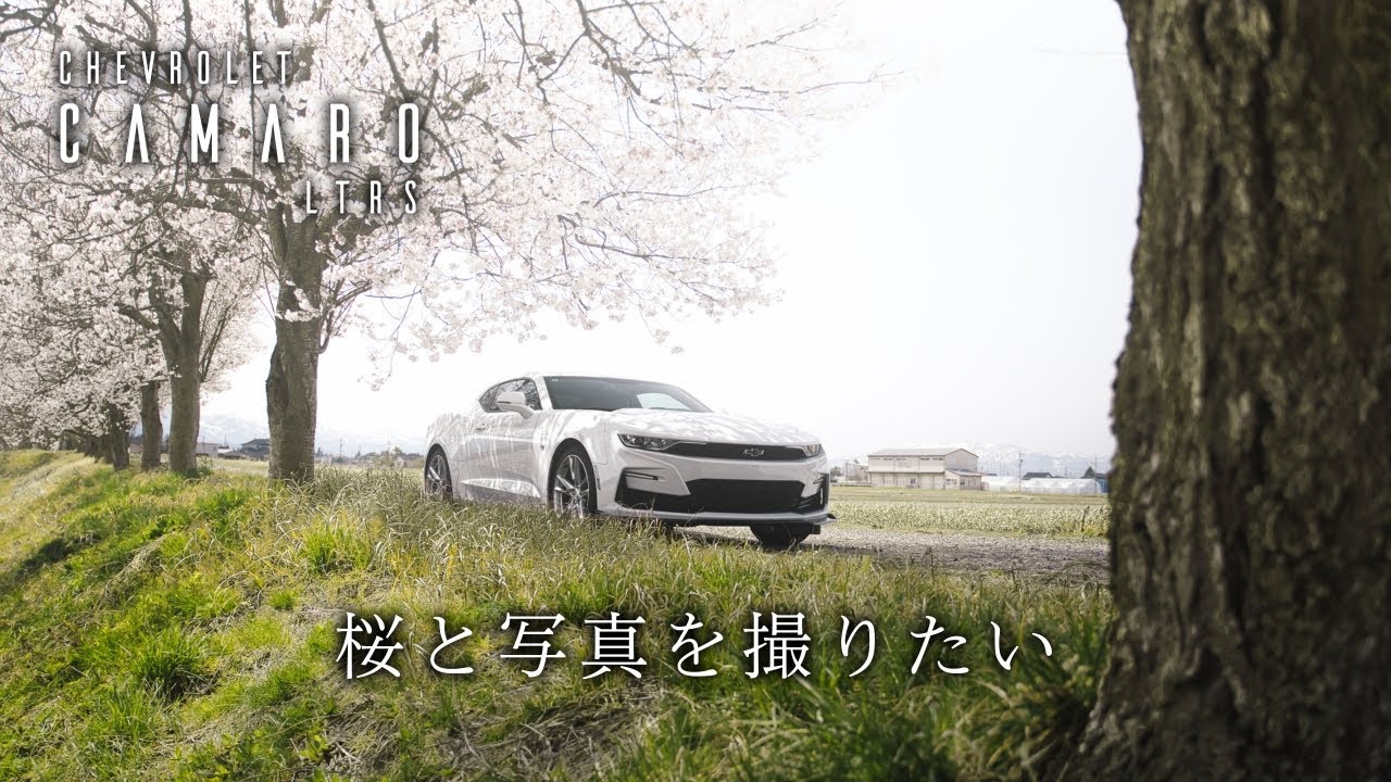 [カマロ]桜と車の写真を撮りたいただの休日