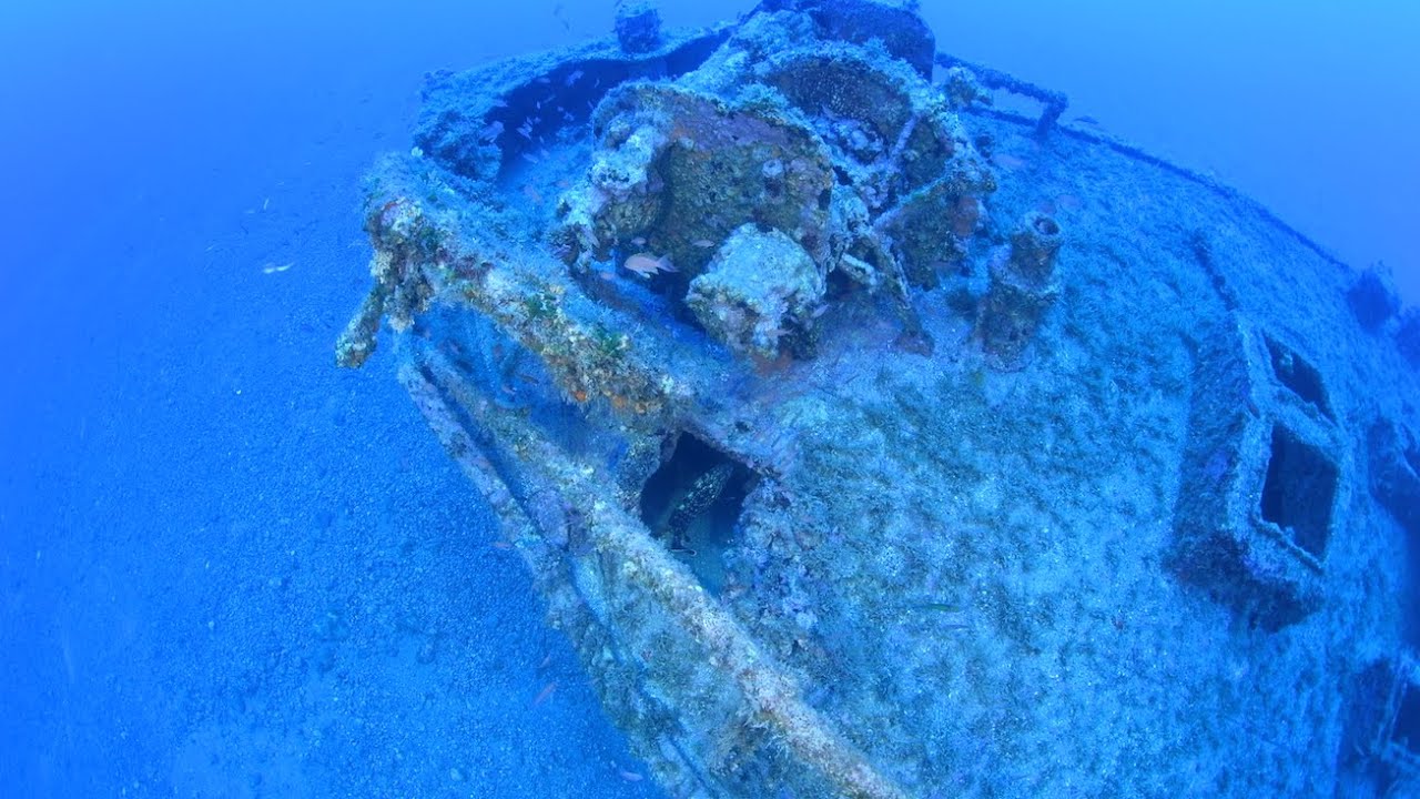 Rapporto Attivo con la Cernia Maculata del Relitto di Lazzaro Diving Center Punta Stilo