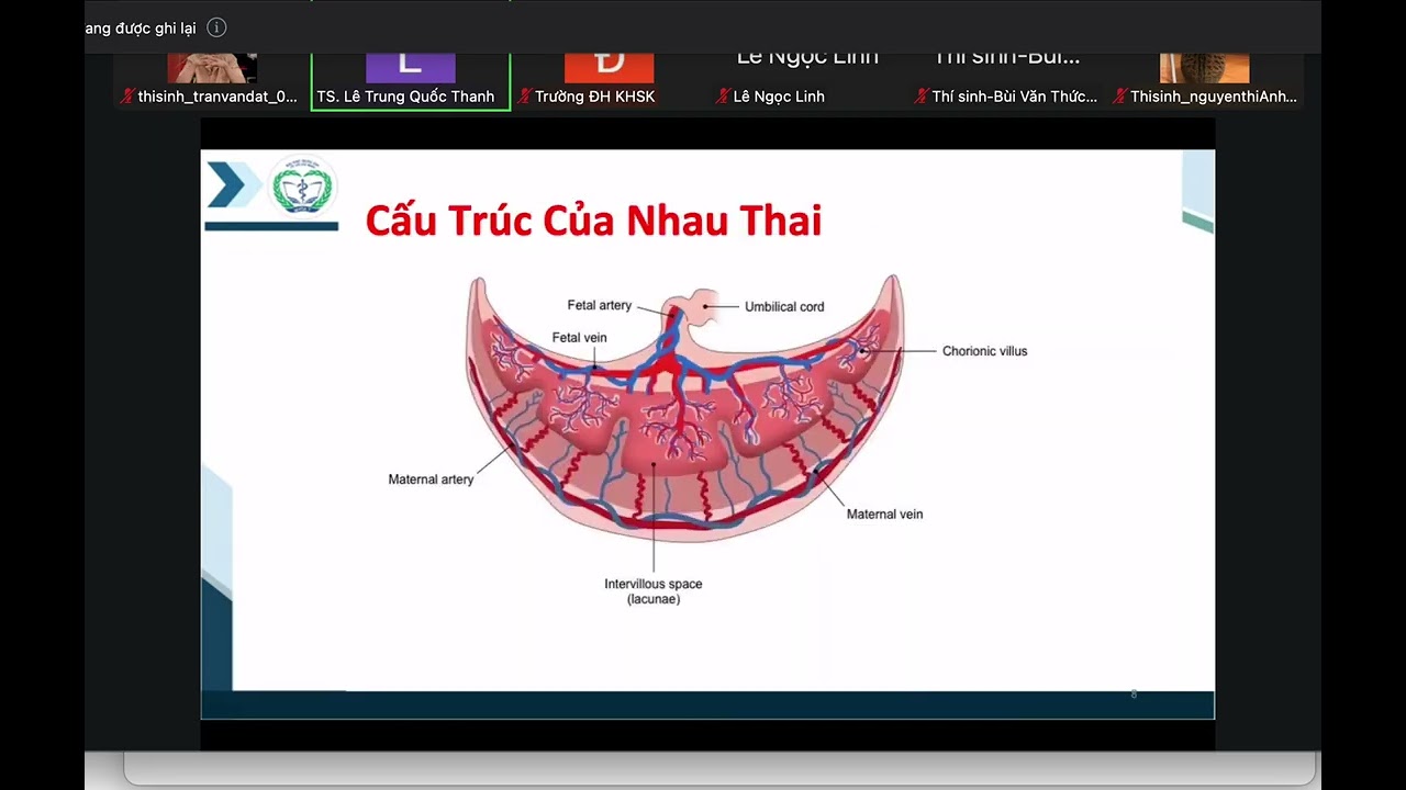 &Ocirc;N SẢN CK1 UHS 2