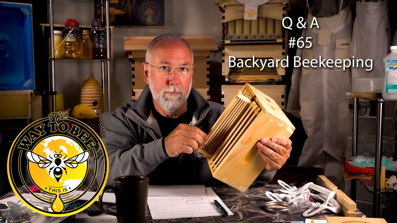 Backyard Beekeeping Questions and Answers 65 June Update Does BetterComb Help?
