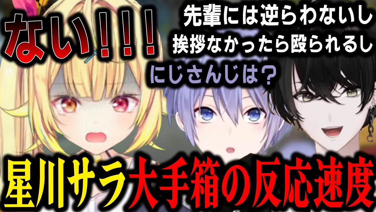 【面白まとめ】渋谷ハルの新たな一面を教える白雪レイドとチャンピオンを取りチーム名を発表したStarReiDogs【切り抜き/白雪レイド/星川サラ/或世イヌ】