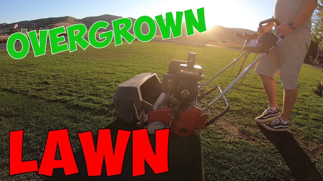 MOWING MY OVERGROWN LAWN