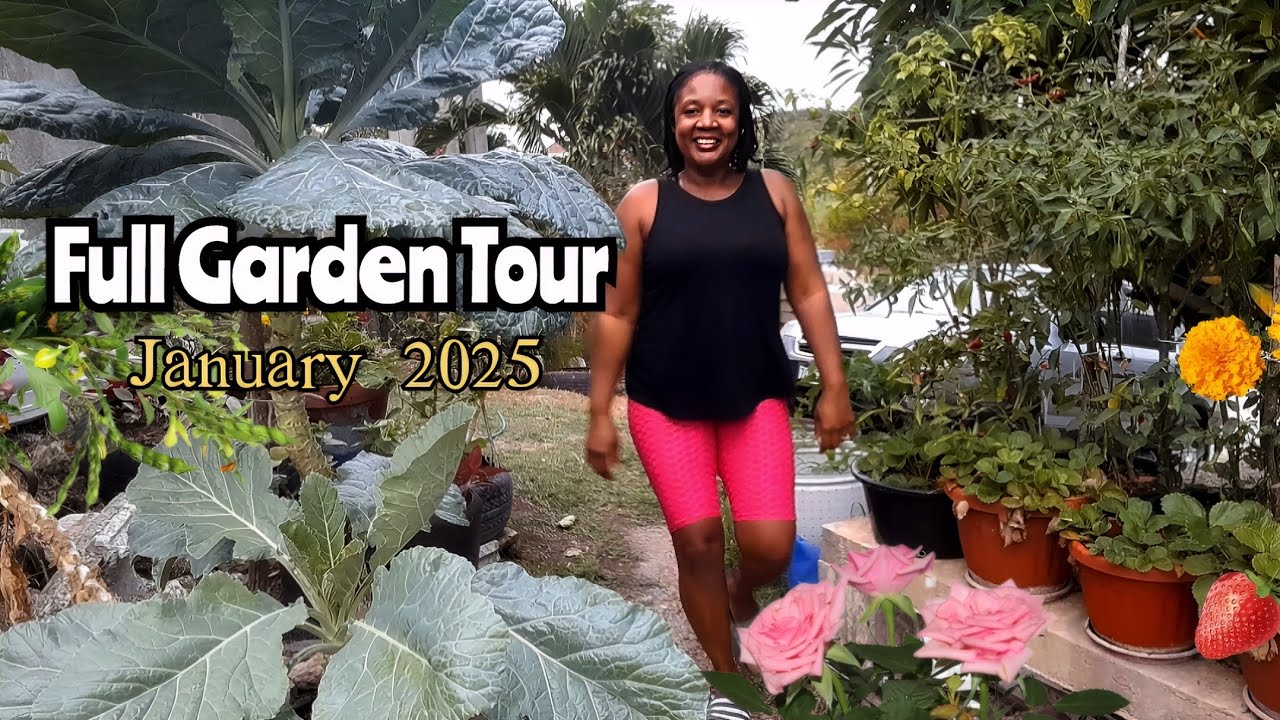 Full Garden Tour for January 2025//Growing All We Eat Fresh//Organic Food Forest