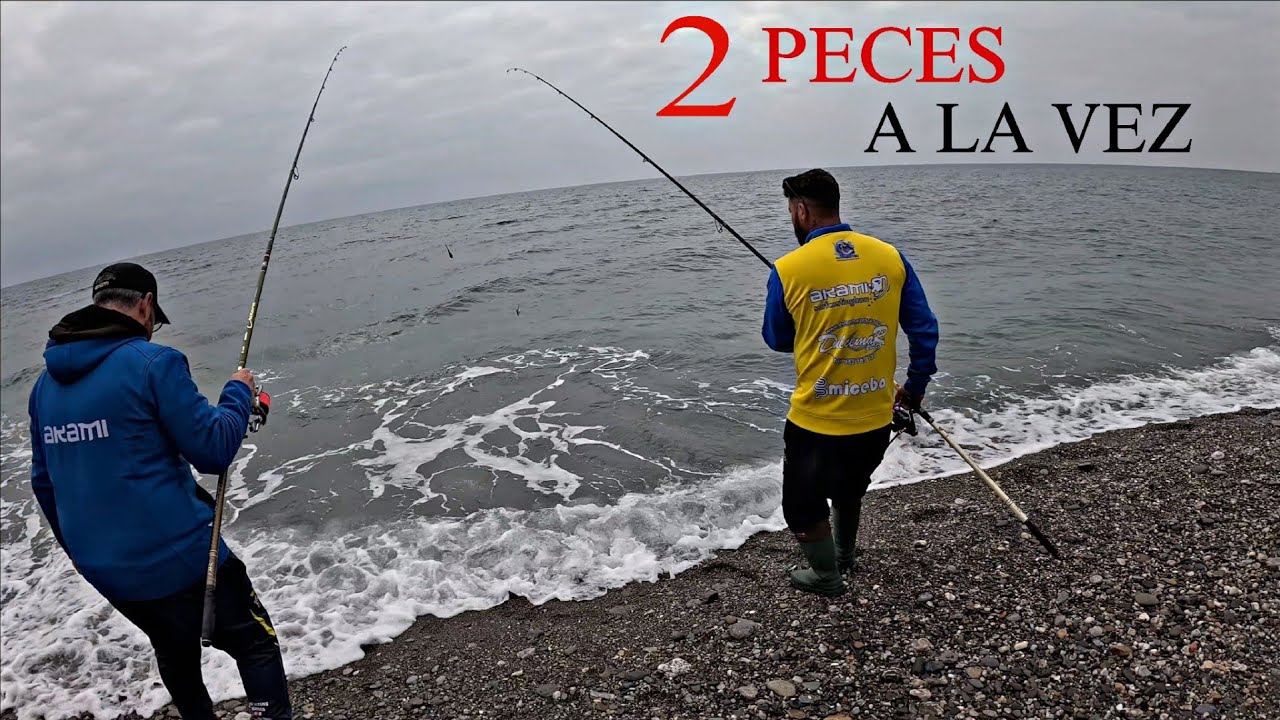 SURFCASTING MUCHAS CAPTURAS DE PORTE PESCA SURFCASTING GRANADA 