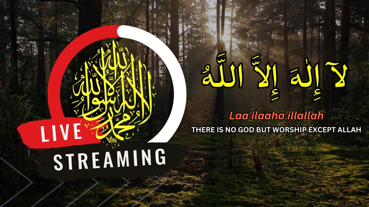 LAILAHAILLALLAH: Sleep Dzikir For Reduce stress #2
