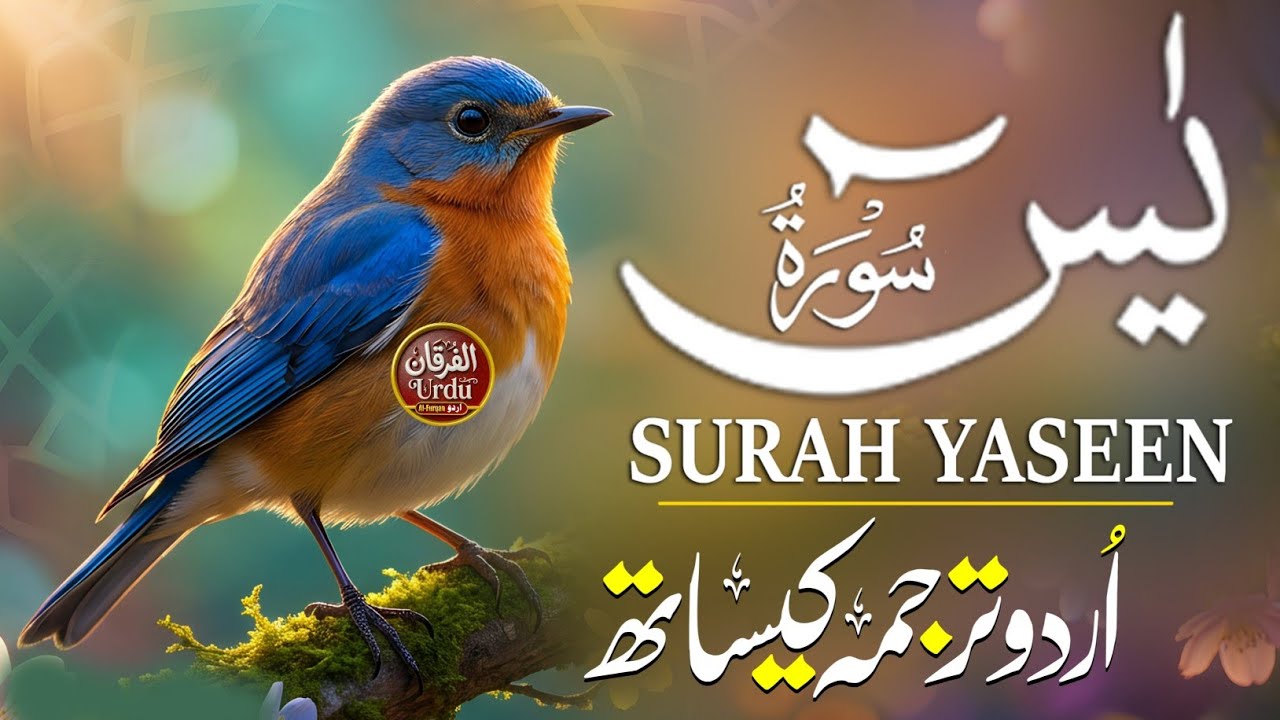 Surah Yaseen Full Recitation with Urdu Translation | Heart of Quran for Peace & Blessings