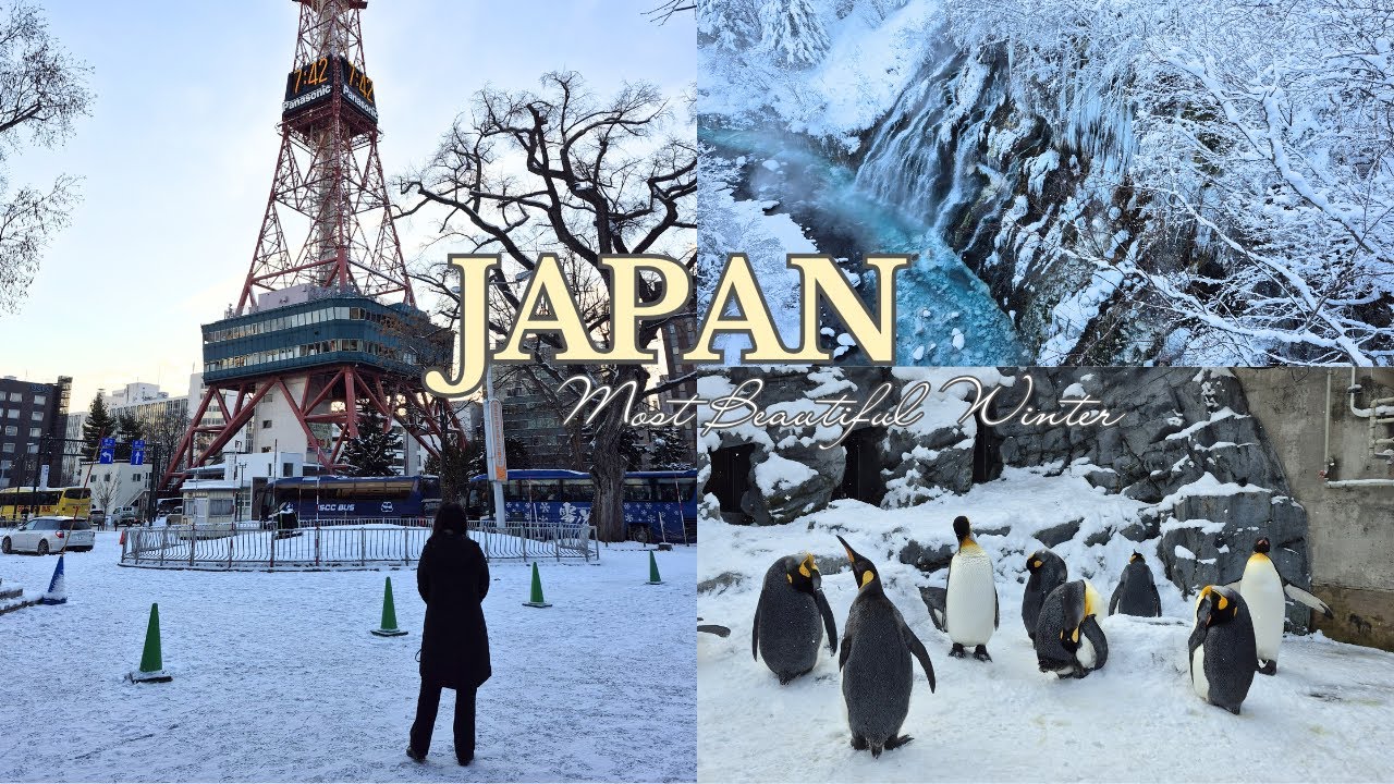 Hokkaido Winter Travel Guide | Sapporo, Biei & Asahiyama Zoo | Japan Vlog 🇯🇵 | Ramen 🍜 Matcha 🍵 