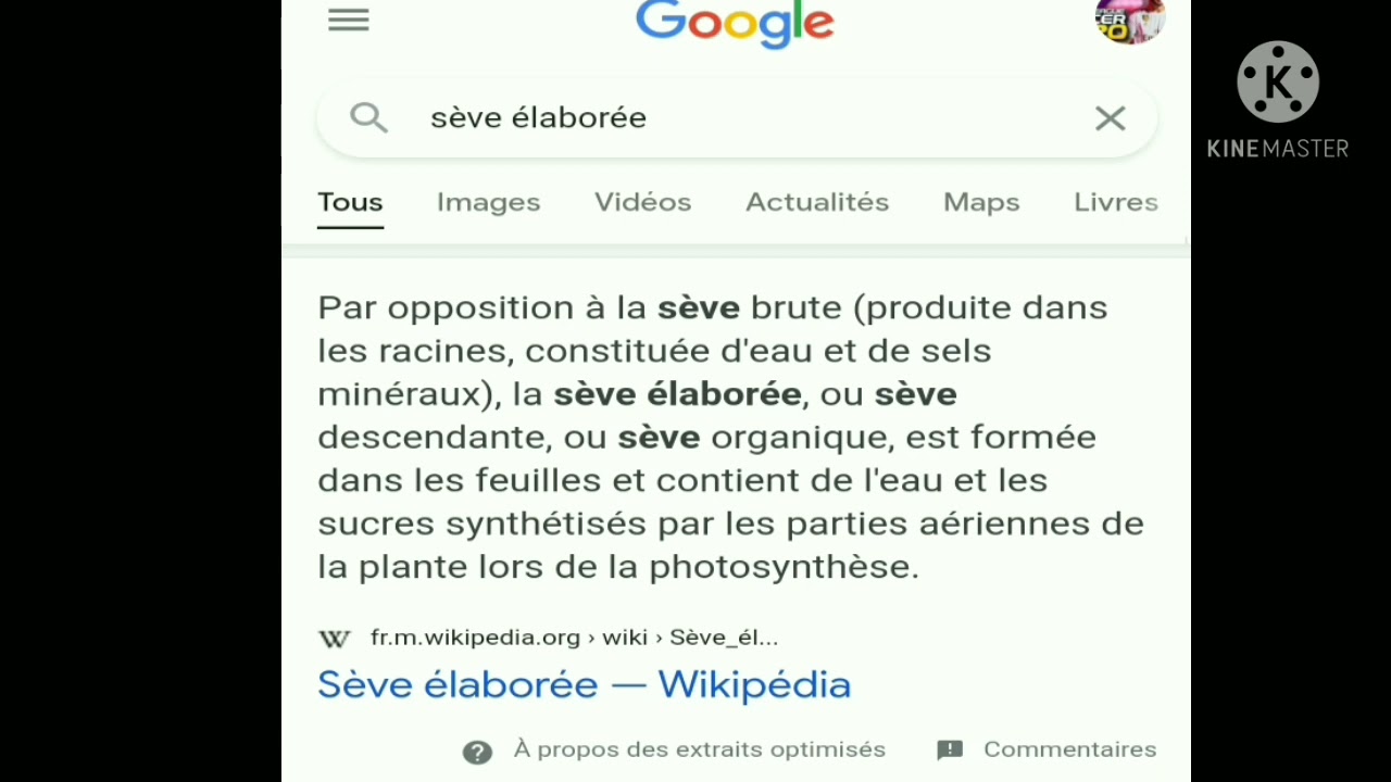 quel est la diff&eacute;rence entre la s&egrave;ve brute et la s&egrave;ve elabor&eacute;e ????#youtube #botanique