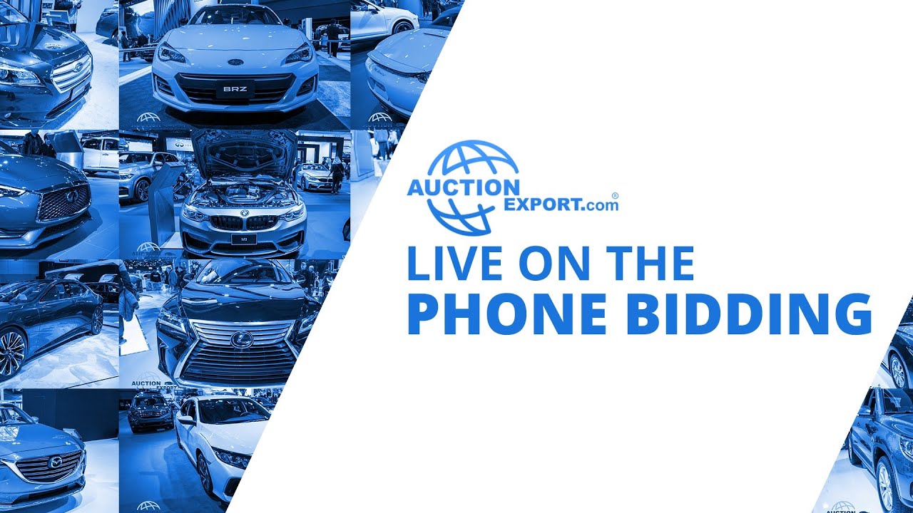 LOTP - LIVE ON THE PHONE BIDDING- AuctionExport