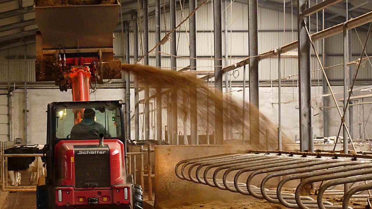 Feeding bucket łyżka do karmienia spreading - Kolaszewski