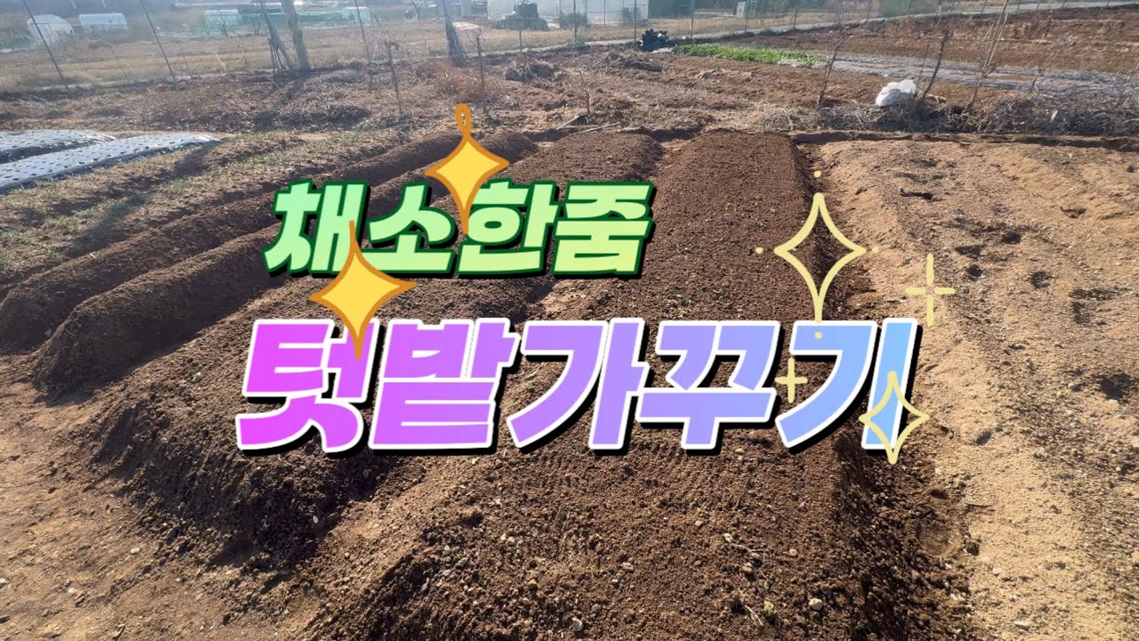 텃밭의 계절 / 텃밭 갈아주기 / 퇴비+복합비료+토양살충