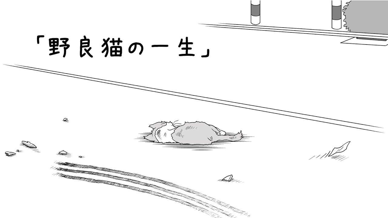 野良猫の一生【猫の絵本】