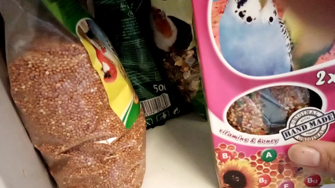 Jak a kde skladujeme potřeby a krmivo pro naše zvířátka