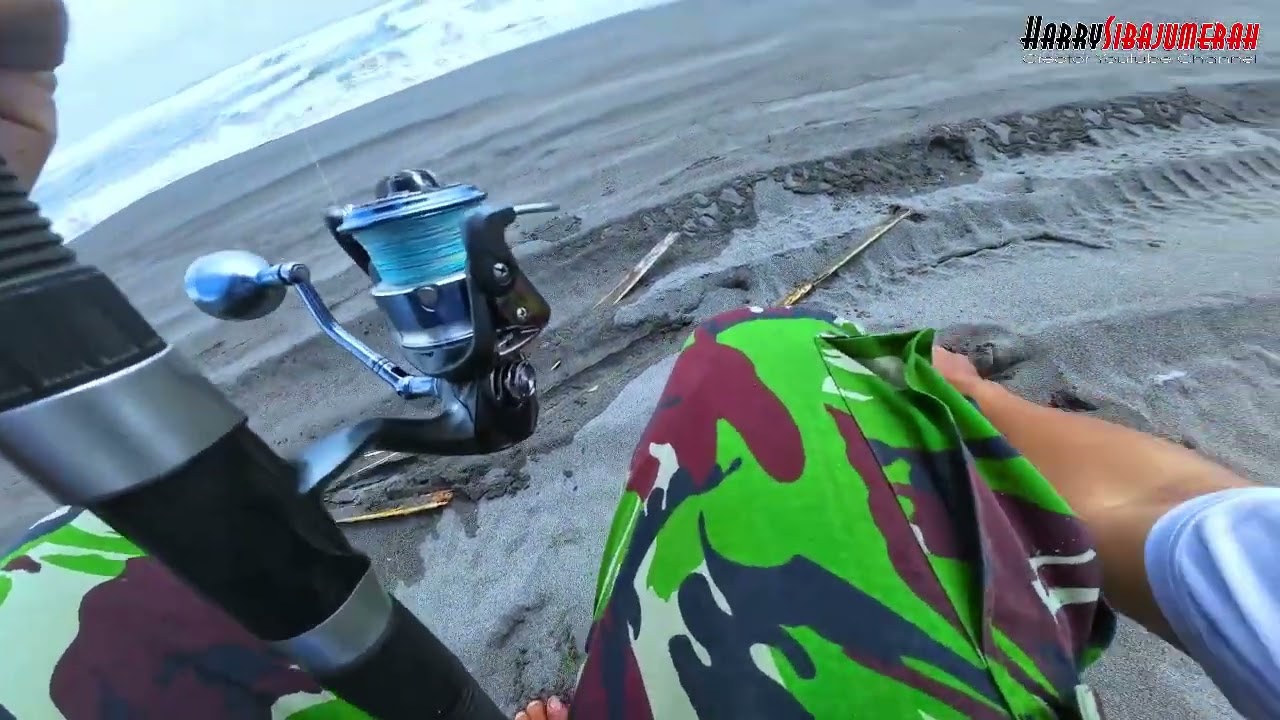 Is Beach Fishing the Most Underrated Hobby of 2025?