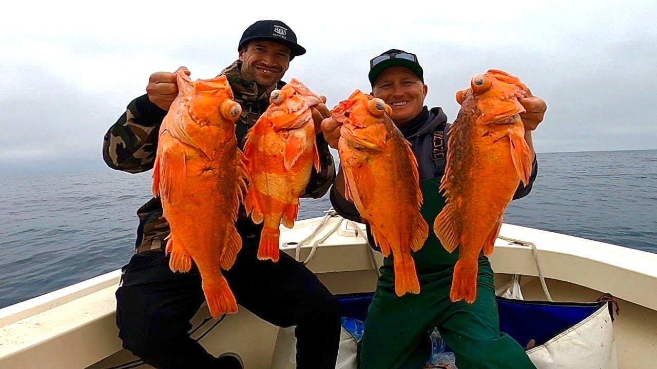 EPIC Catalina Island Rockfishing! (Catch, Clean and Cook)