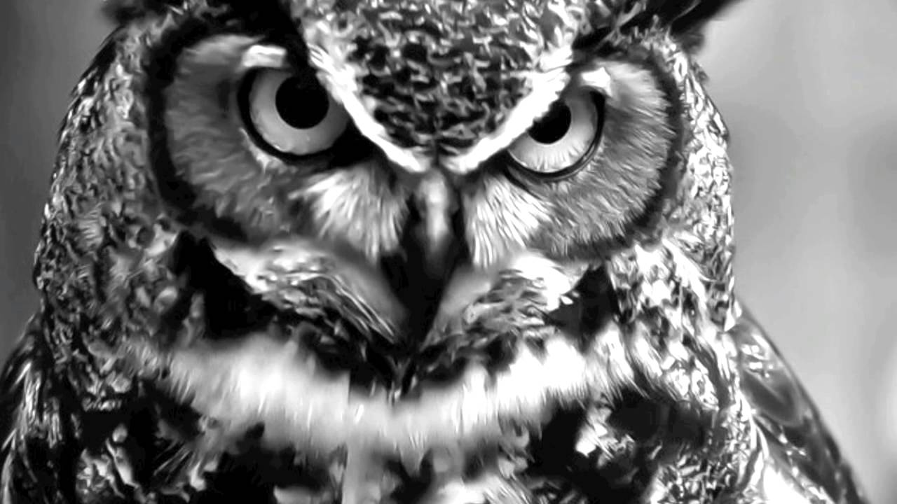 Jerome Isma-Ae & Weekend Heroes - Knockdown (Cid Inc. Remix) *720p