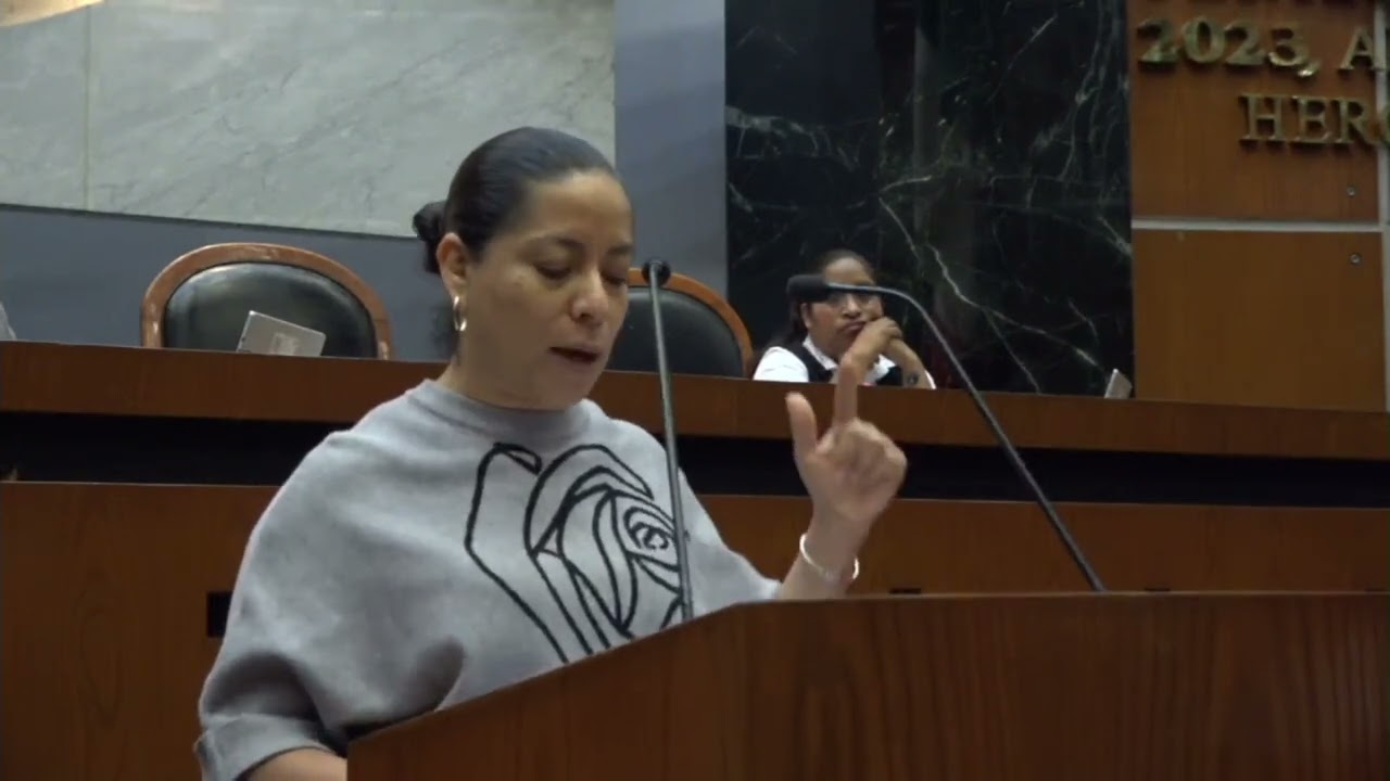 Irene Montiel opina sobre la reforma electoral de Sheinbaum