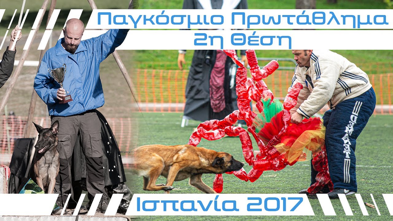 Mondioring World Championship 2017 | N'Khaleesi De Sol Casa - Sotiris Kountouras Vice Champions Cat1