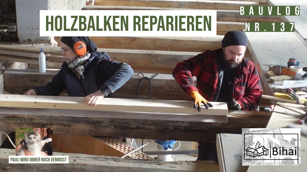 Bauvlog 137  |  Die letzten St&auml;mme und Holzbalkendecke ausgleichen