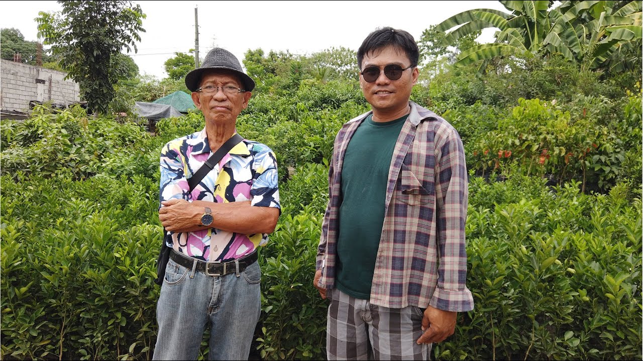 LR  plant nursery brgy cristorey capas, tarlac, /low cost fruit bearing trees/ hi-quality seedlings