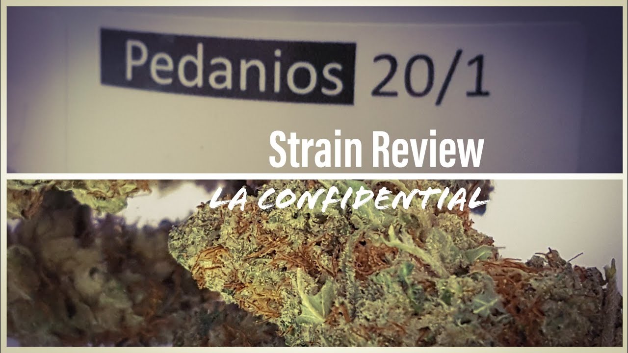 Medizinisches Cannabis Pedanios 20/1 La Confidential Indica