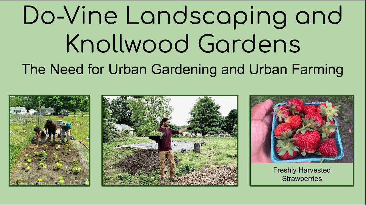 C.J. Pratt: The Need for Creative Urban Farming Design