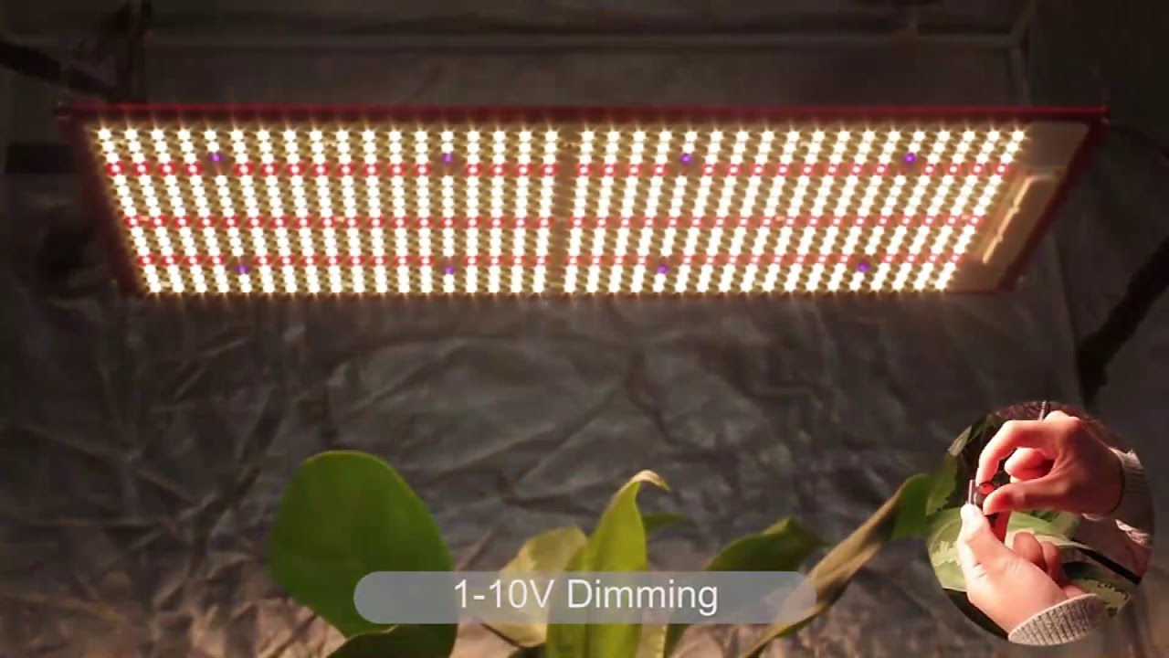 ECO Farm ECOR Samsung LM301H 240W/480W Dimmable Quantum Board LED Grow Light with UV&IR
