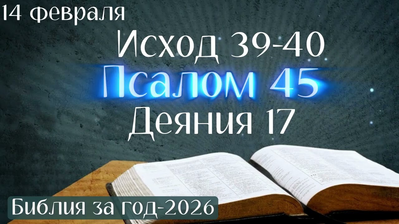 14 февраля. Марафон 