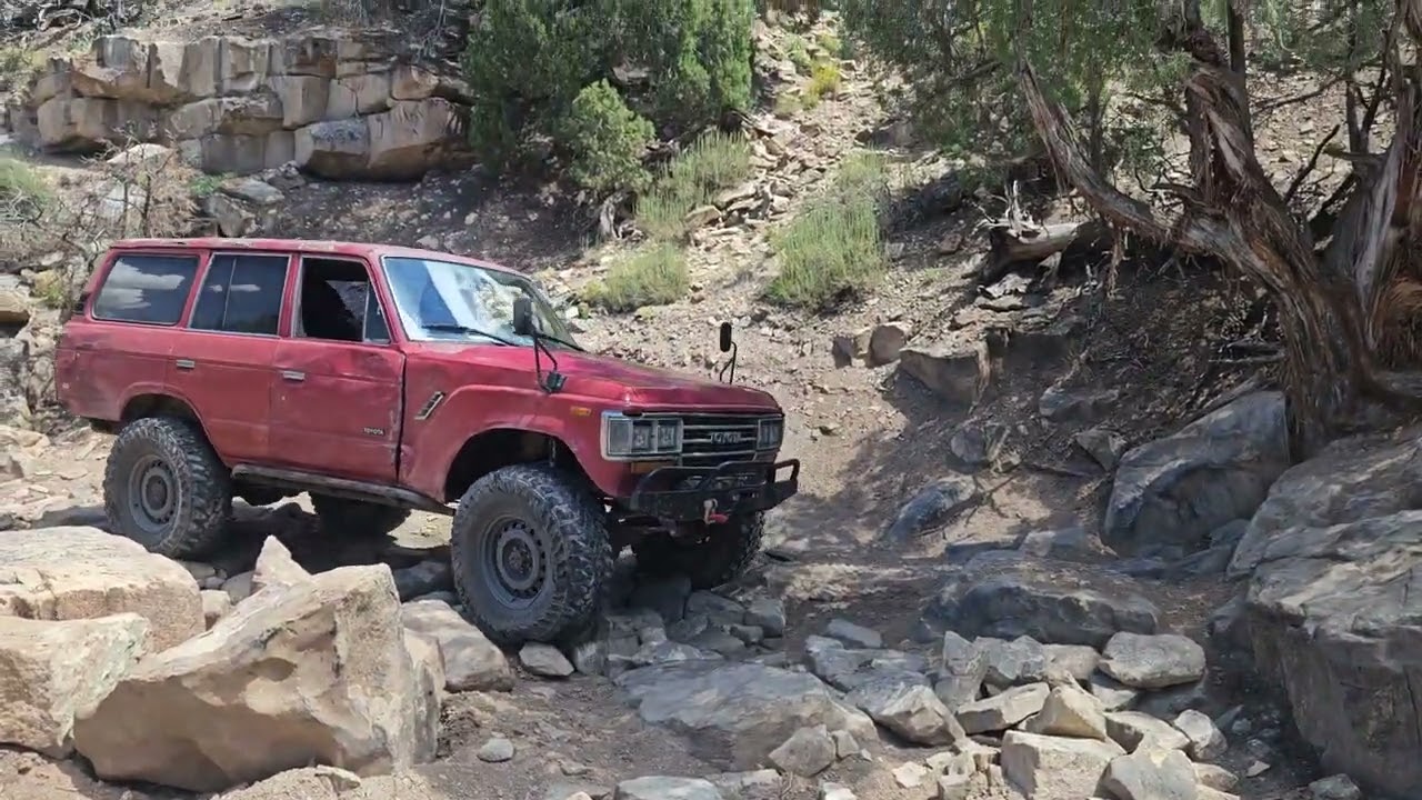 Cruiser Matt. SAS. leading the way. #toyota #landcruiser #fj60