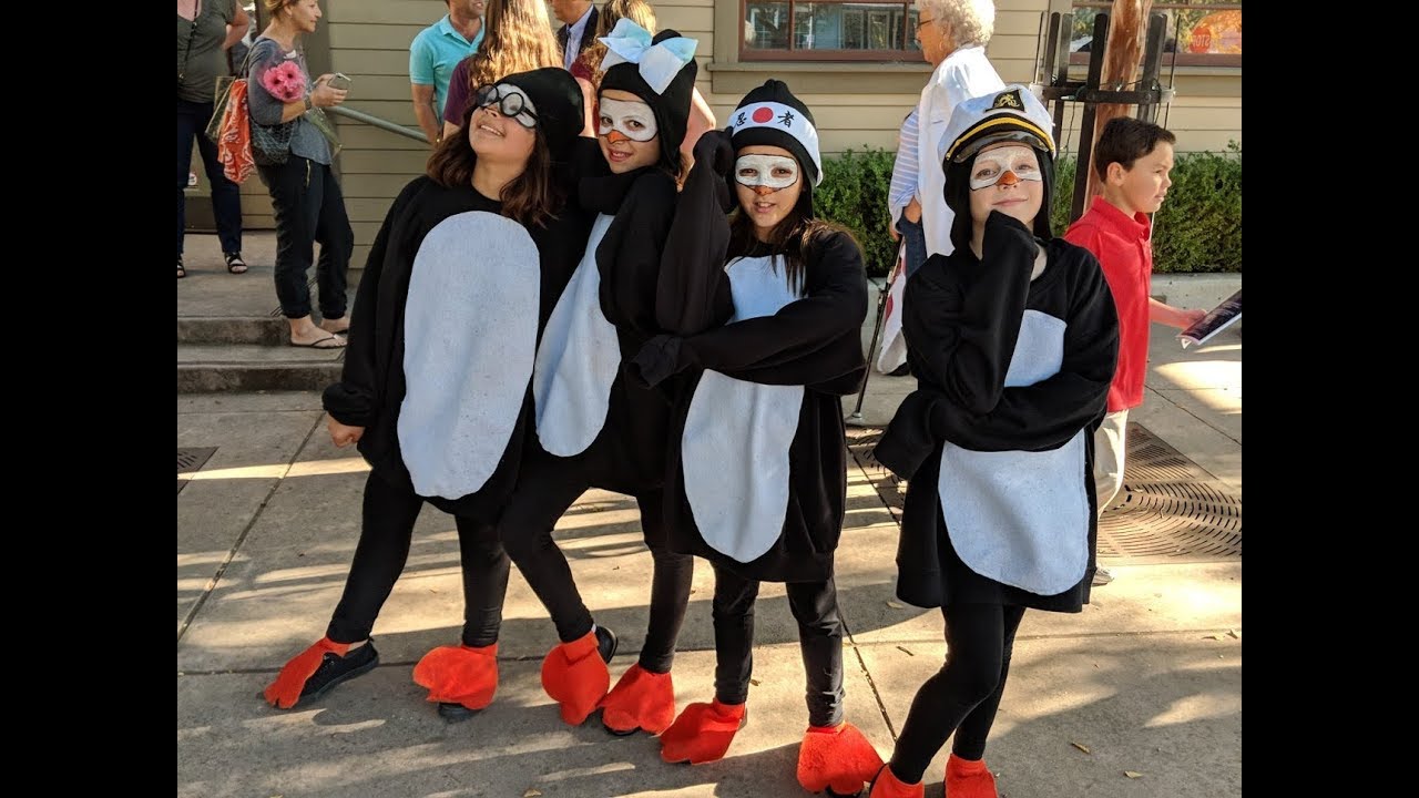 Madagascar Jr - 2017