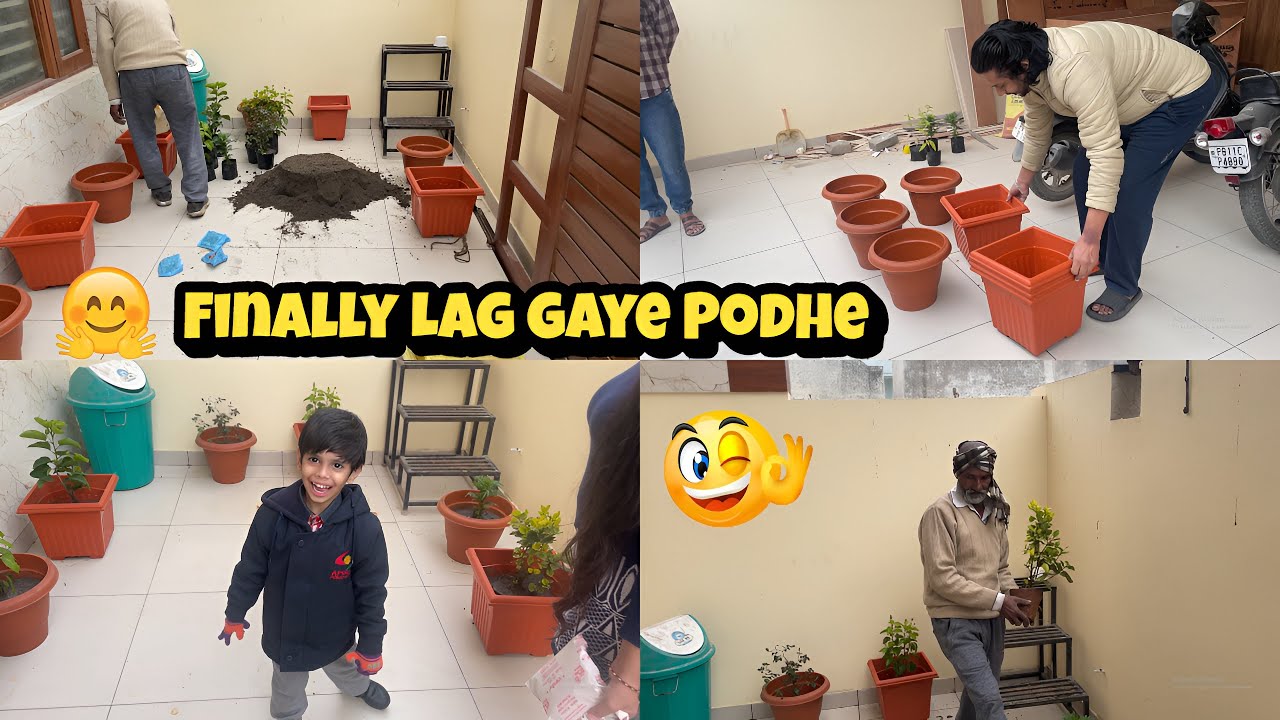 Finally Lag Gaye Podhe | Garima Vlogs Patiala