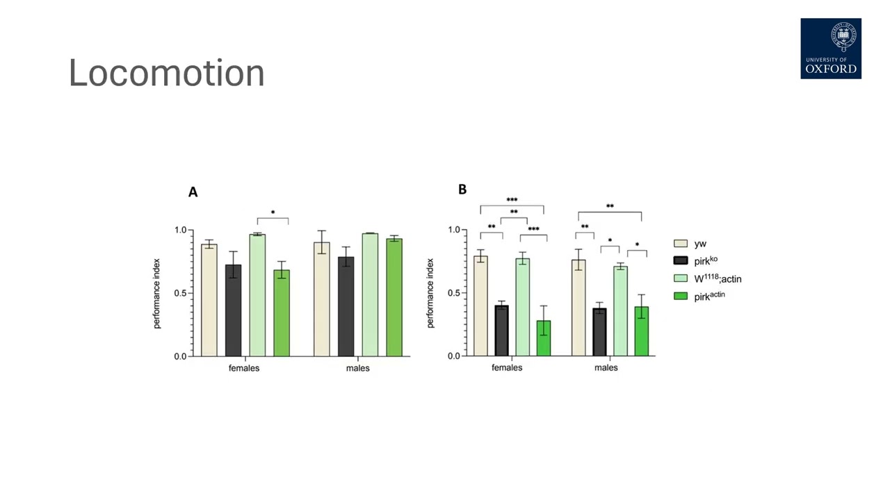 Loss of Pirk in Drosophila links brain and gut immunity to neurodegeneration