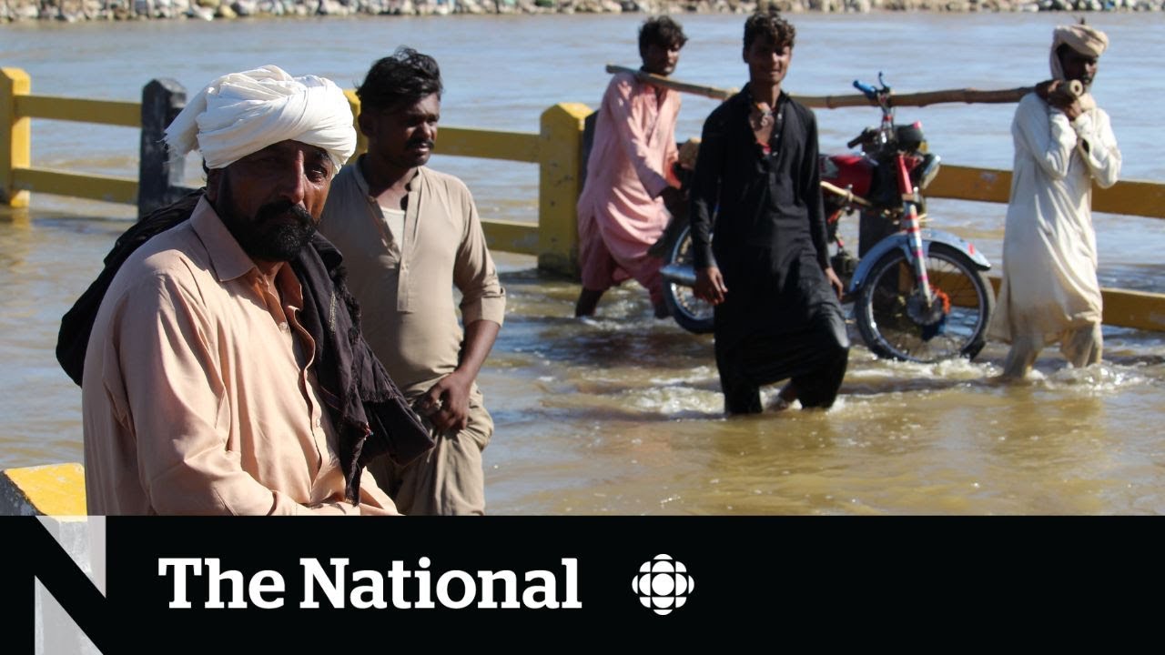 New calls for Pakistan relief aid amidst disease outbreaks