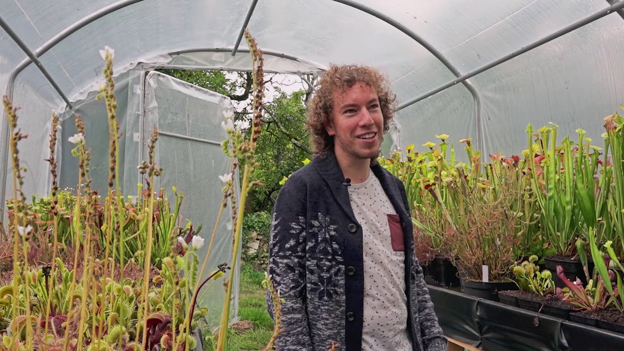 La serre aux plantes carnivores