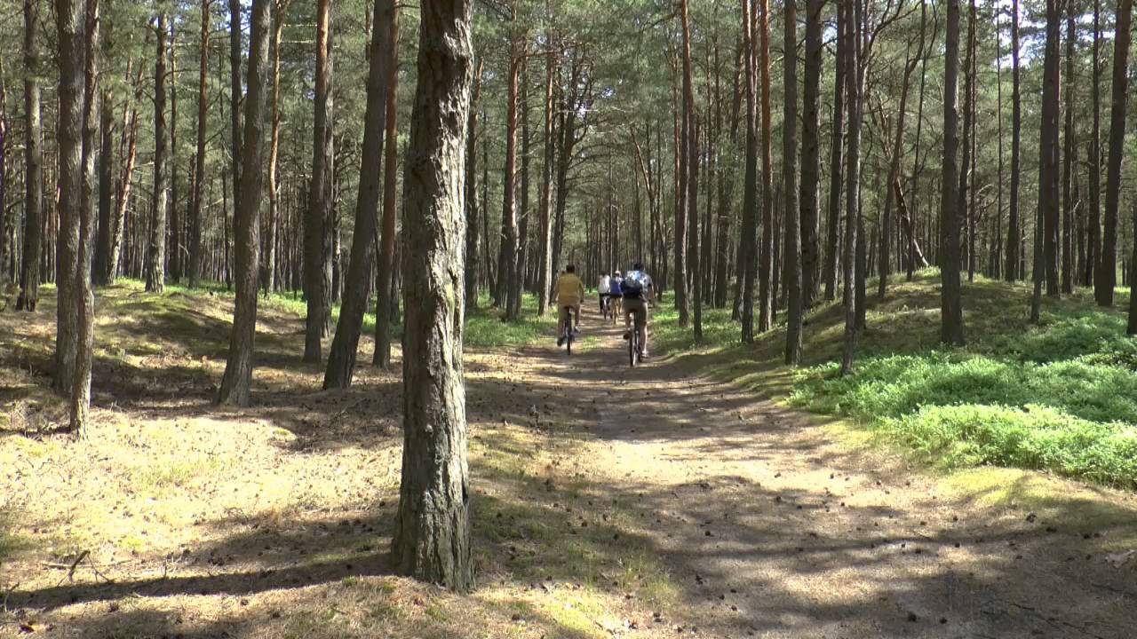 Łeba - rezerwat przyrody 