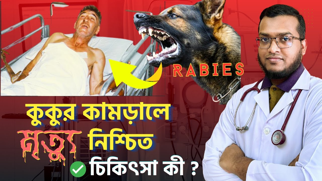 কুকুর কামড়ালে কত দিনের মধ্যে টিকা দিতে হয়
?  Daktar Bondhu