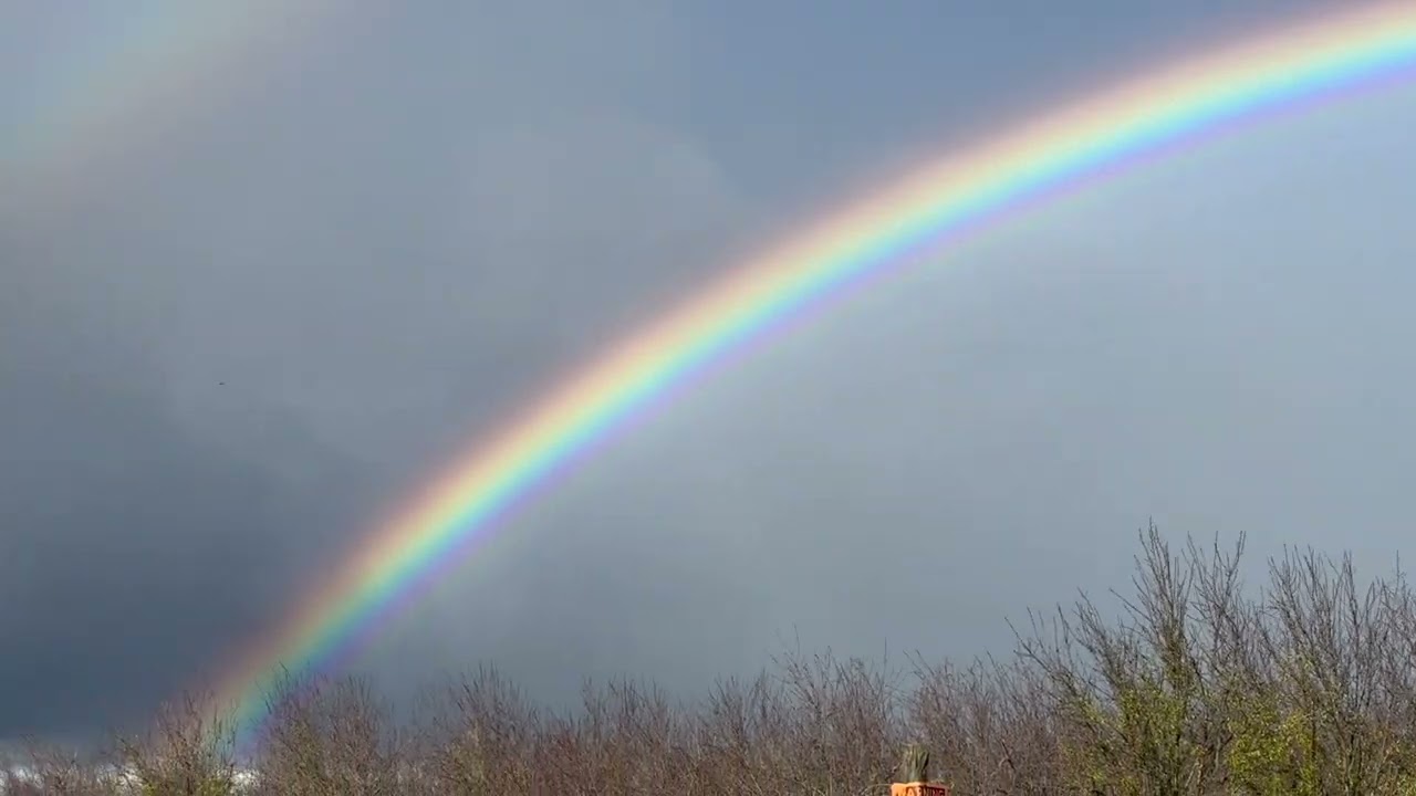 The Internet of Experiences: zendown rainbow