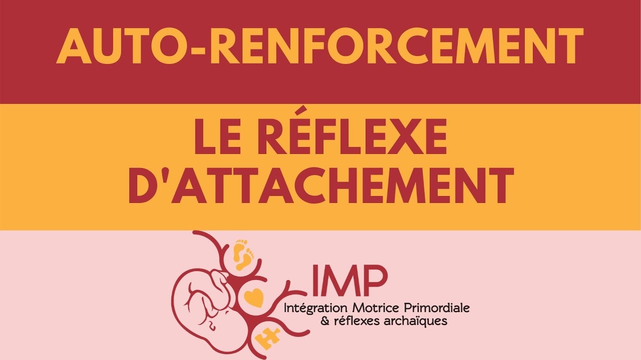Le réflexe d'attachement - Auto-renforcement - Intégration Motrice Primordiale IMP