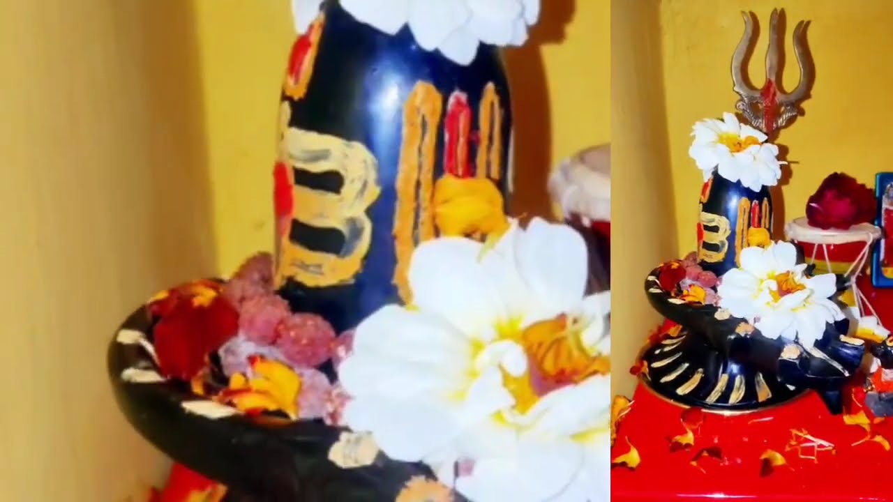 24 जनवरी माघ शनिवार षष्टी तिथि के दिन सरसों के तेल वाला उपाय जरुर करें,#panditpradeepmishra#shivupay