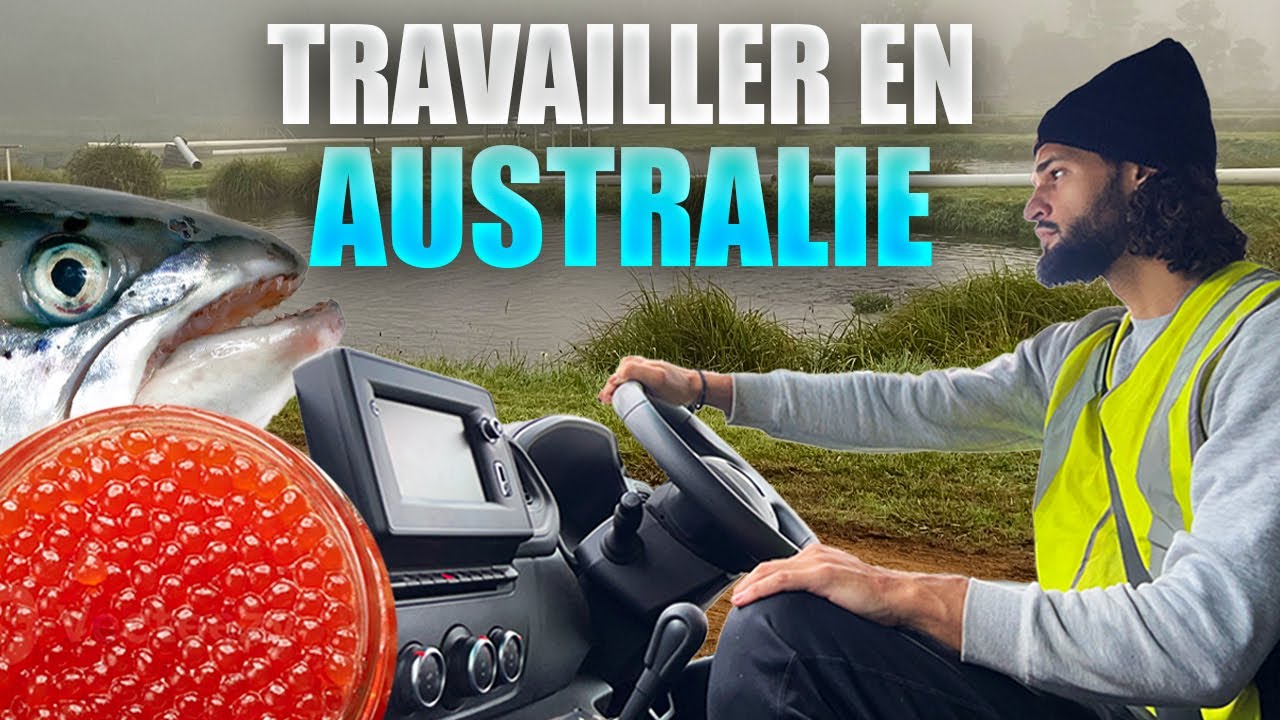 TRAVAILLER DANS UNE FERME DE SAUMON - PVT AUSTRALIE EP 11