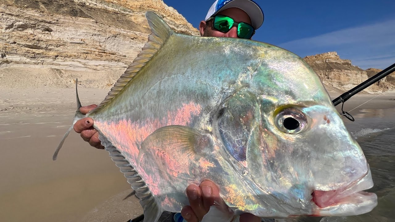 Diamond fish caught by Fabrice in Morocco