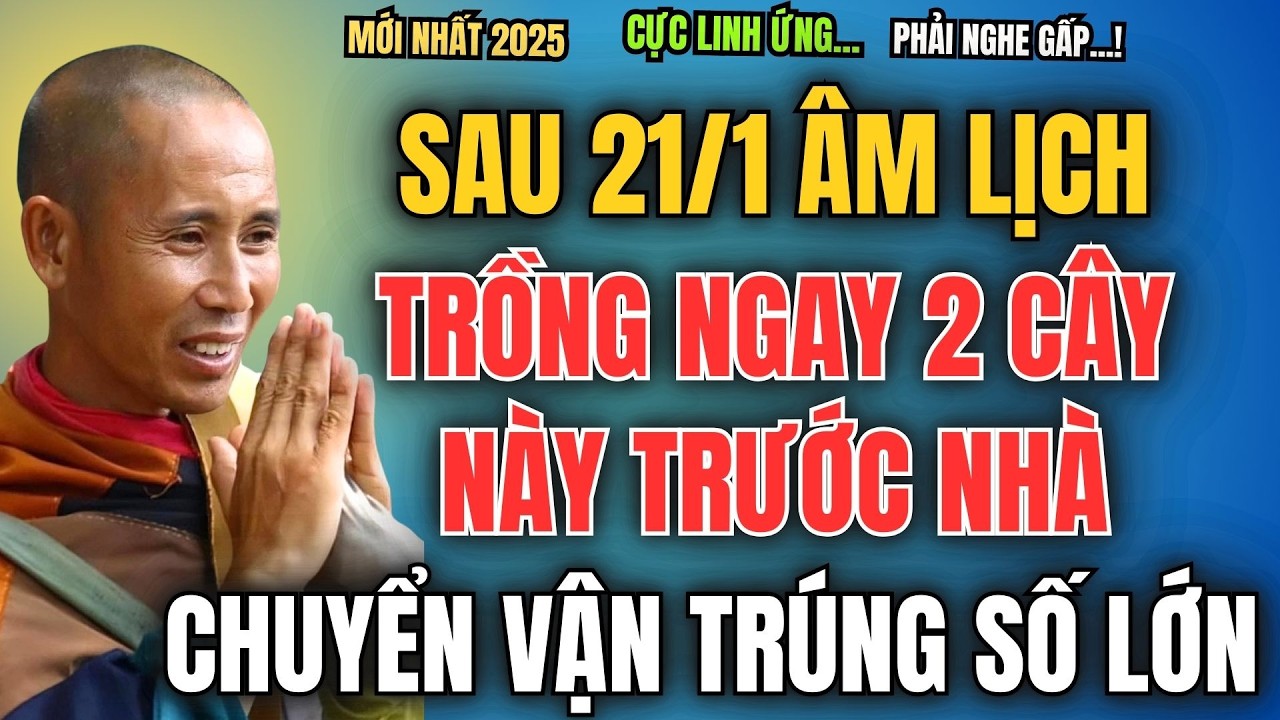 SAU NGÀY 21/1 ÂM LỊCH, TRỒNG NGAY 2 CÂY NÀY TRƯỚC NHÀ, GIA CHỦ CHUYỂN VẬN TRÚNG SỐ LỚN