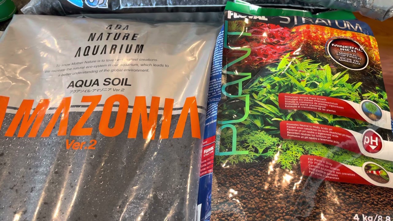 Top 5 Substrates for Planted Tanks and 1 you should avoid