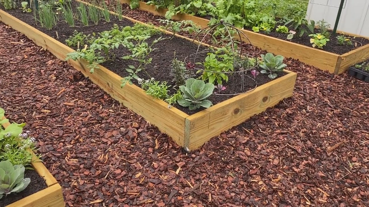 Mi Primer HUERTO URBANO en casa 🍅🥬 TOUR - Paseo - Recorrido - Mayo 2020
