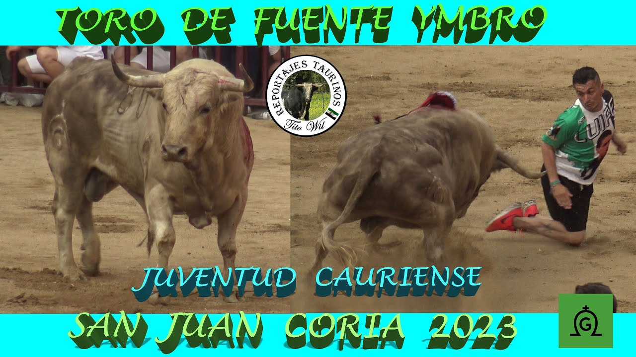 GANADERIA FUENTE YMBRO SAN JUAN 2023 JUVENTUD CAURIENSE COMISARIO #sanjuan #coria #toro #ganaderias