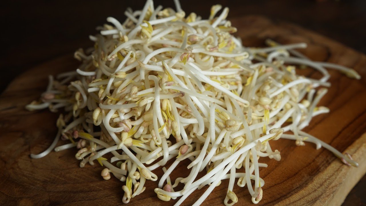 Faire des germes de soja dans une brique de lait - Cooking With Morgane