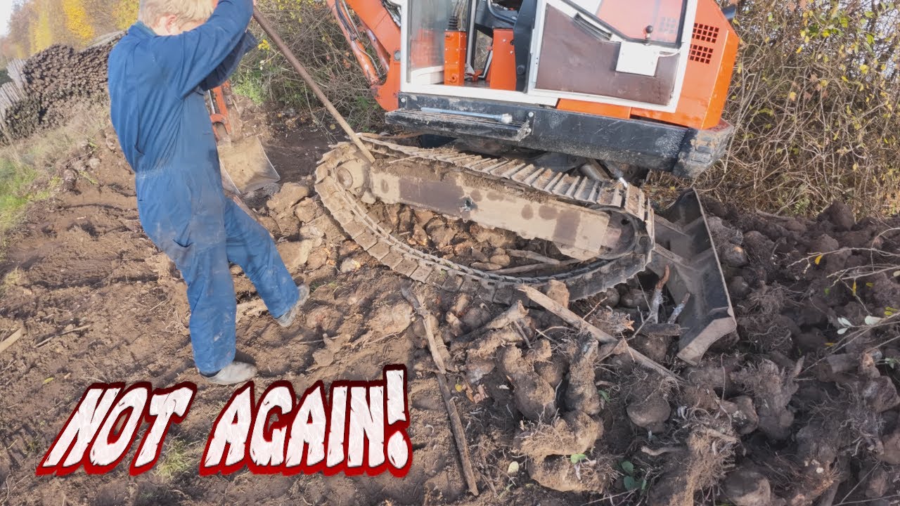 Cleaning up firewood with the excavator