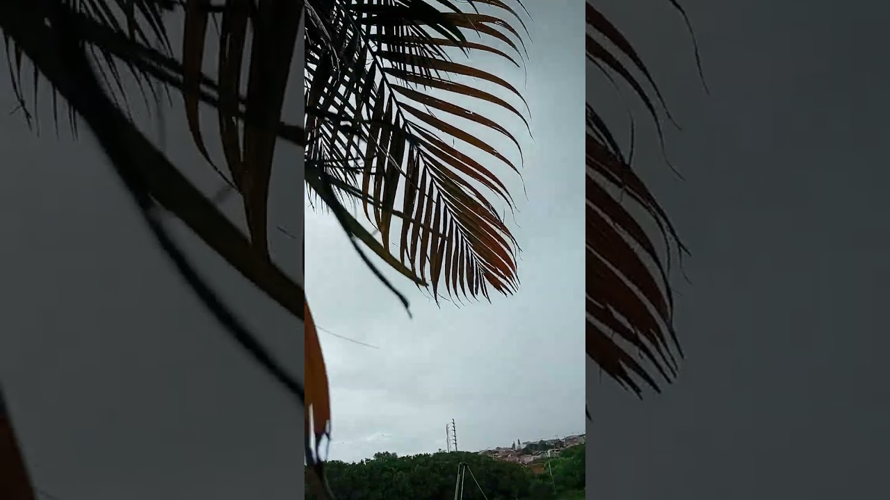 15 de fevereiro de 2026